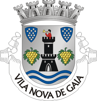 VNG1